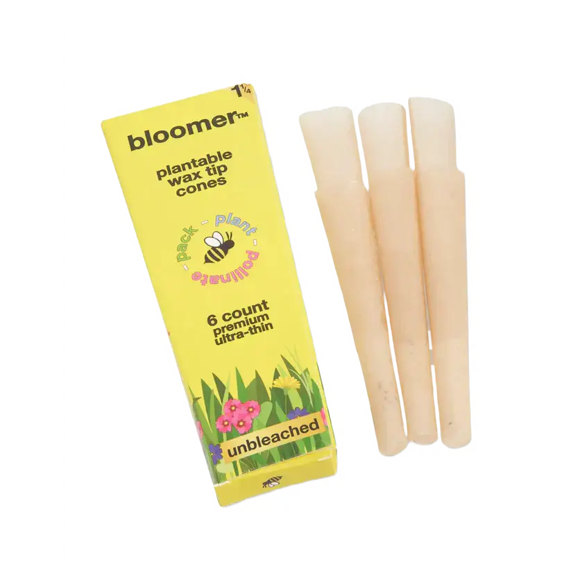 bloomer™ 1-1/4 paper cones - unbleached Box of 21_1