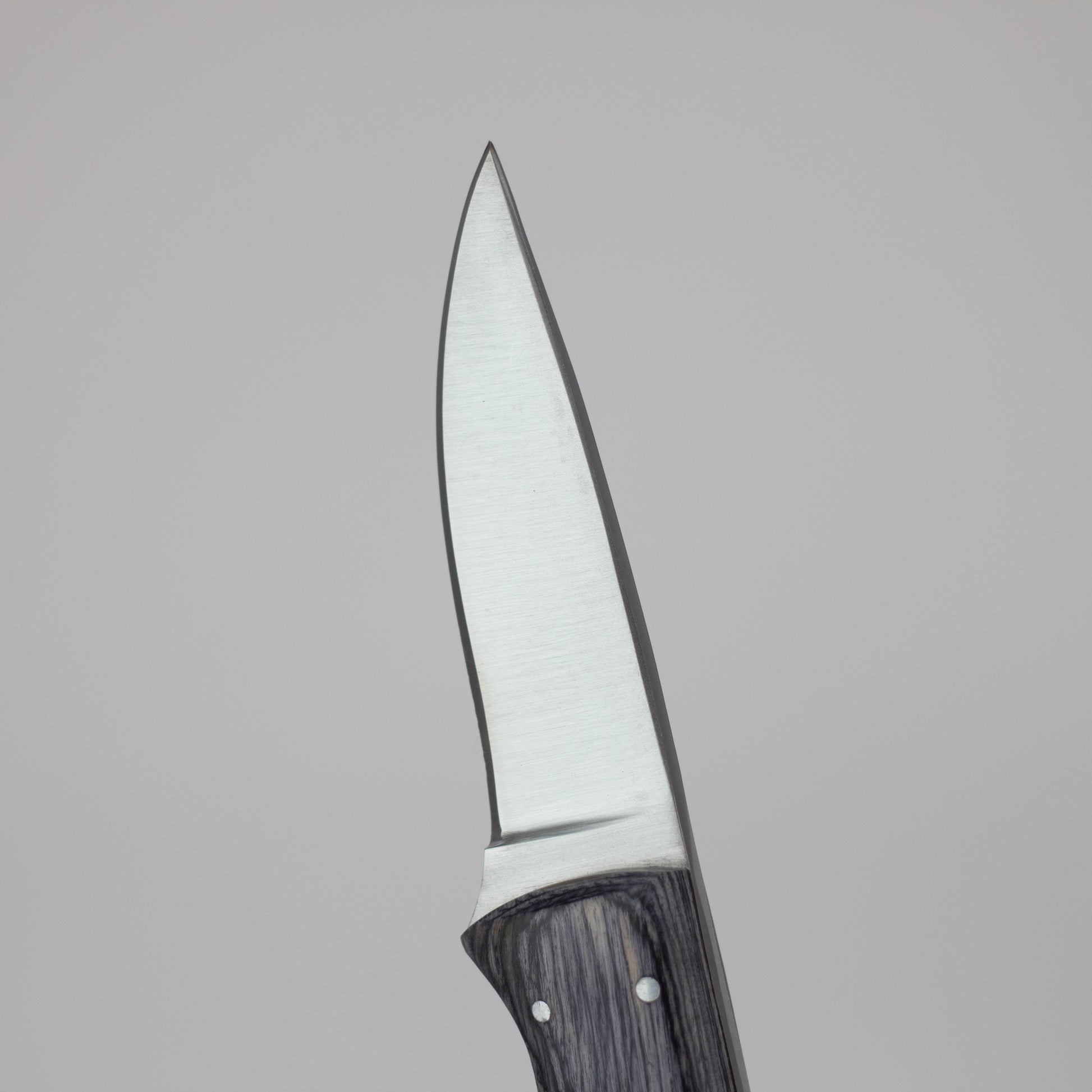 Red Deer 7.5 Inches Full Tang Gray Pakka Wood Hunting Knife [RD-107]_3