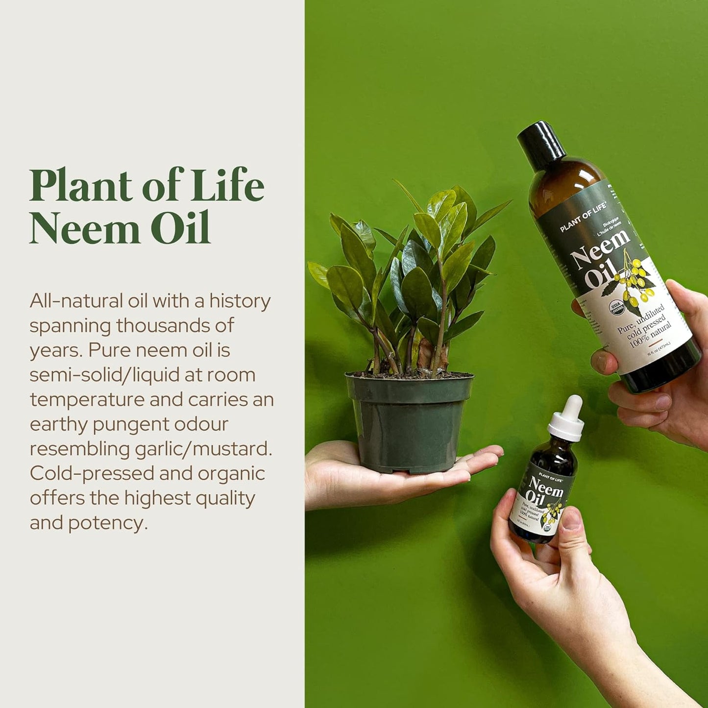 Plant of Life | Organic Neem Oil 2oz_3