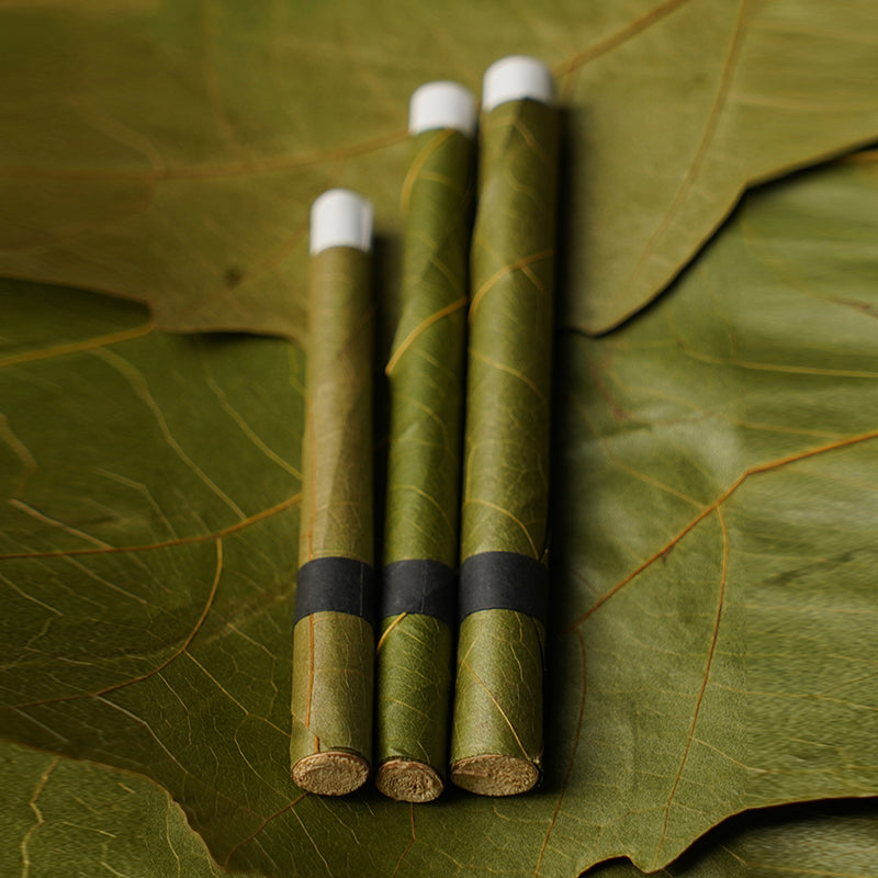 King Cheroot | Cordia Palm Leaf Roll - Mini_9