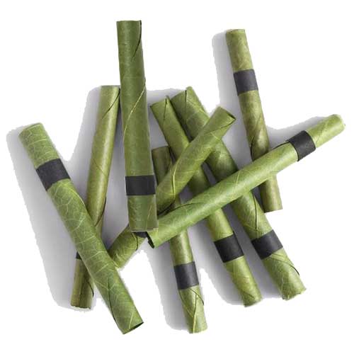 King Cheroot | Cordia Palm Leaf Roll - Mini_8